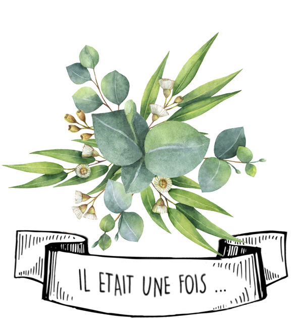 Olyaris - Huile essentielle d'Eucalyptus Globulus : Tout savoir